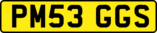 PM53GGS