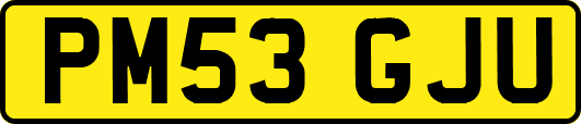 PM53GJU