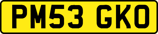 PM53GKO