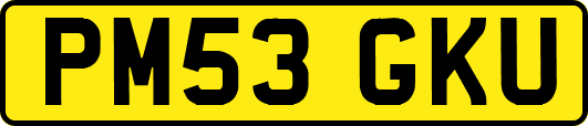 PM53GKU