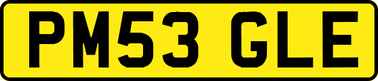 PM53GLE