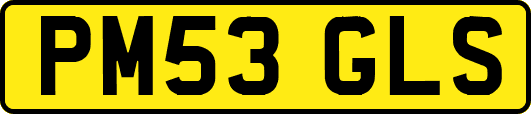 PM53GLS