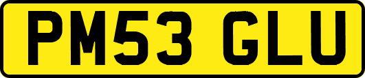 PM53GLU