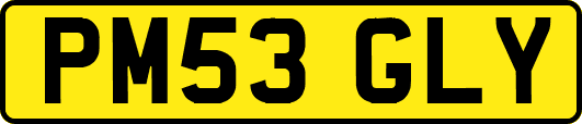 PM53GLY