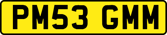 PM53GMM