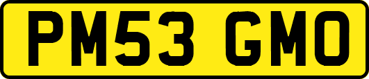 PM53GMO