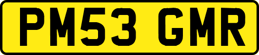 PM53GMR