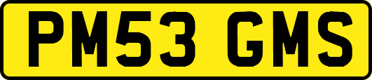 PM53GMS