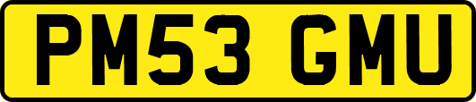 PM53GMU