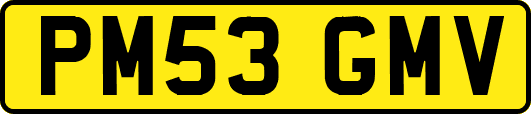 PM53GMV