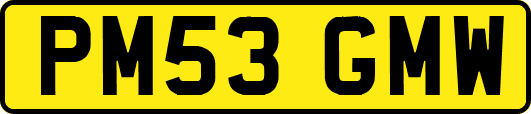 PM53GMW