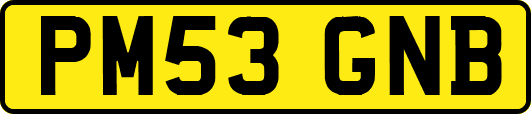 PM53GNB
