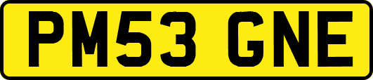 PM53GNE