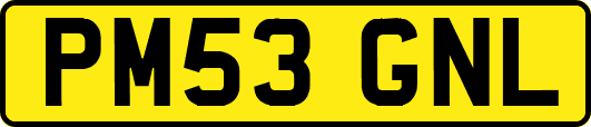 PM53GNL