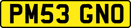 PM53GNO