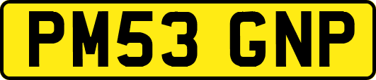 PM53GNP
