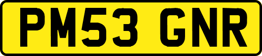 PM53GNR