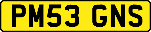 PM53GNS