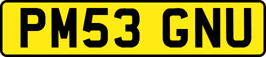 PM53GNU