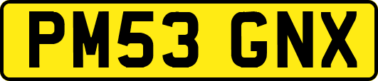 PM53GNX