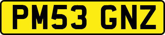 PM53GNZ