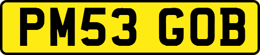 PM53GOB