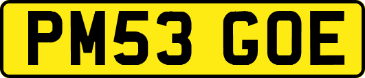 PM53GOE