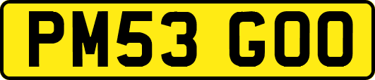 PM53GOO