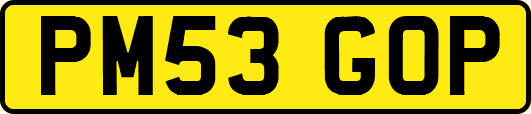 PM53GOP