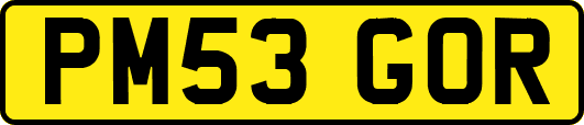 PM53GOR