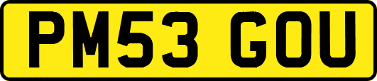 PM53GOU