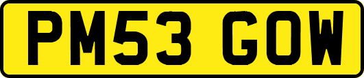 PM53GOW