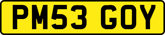 PM53GOY