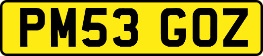 PM53GOZ