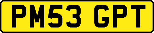 PM53GPT
