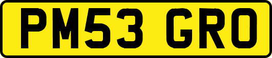 PM53GRO