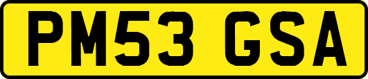 PM53GSA