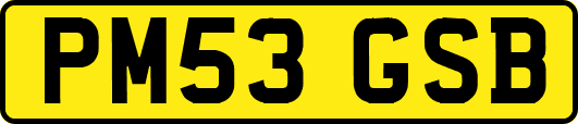 PM53GSB