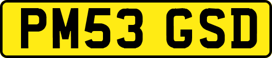 PM53GSD