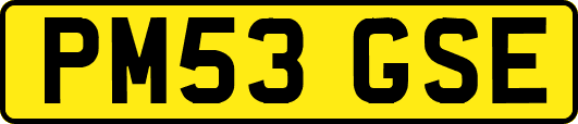 PM53GSE