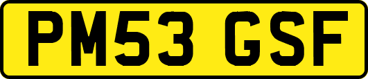 PM53GSF