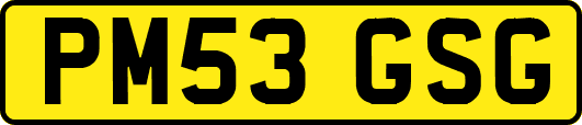 PM53GSG