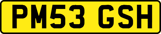 PM53GSH
