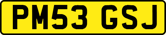 PM53GSJ