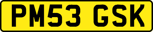 PM53GSK