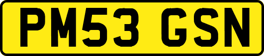 PM53GSN