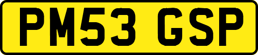 PM53GSP