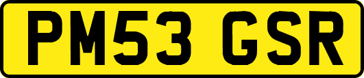 PM53GSR