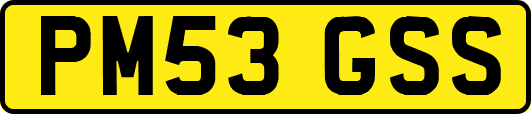 PM53GSS