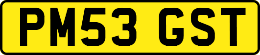 PM53GST